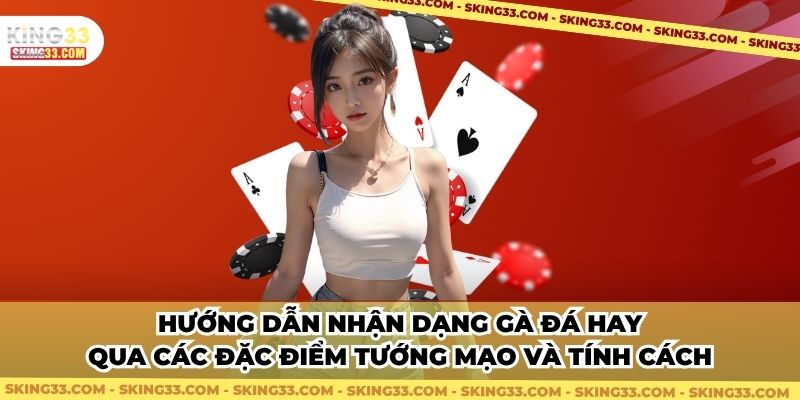 Hướng dẫn nhận dạng gà đá hay qua các đặc điểm tướng mạo và tính cách
