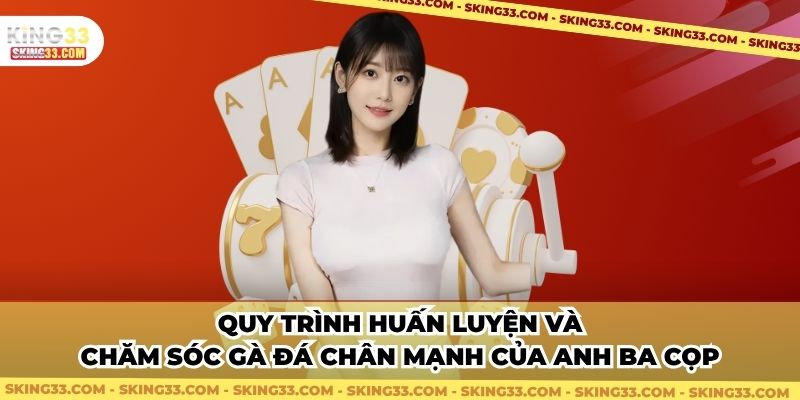 Quy trình huấn luyện và chăm sóc gà đá chân mạnh của anh Ba Cọp
