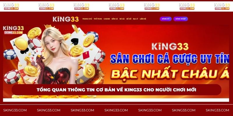 Tổng quan thông tin cơ bản về King33 cho người chơi mới